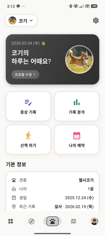 Noting Pet 실제 앱 반려동물 관리 대시보드 화면